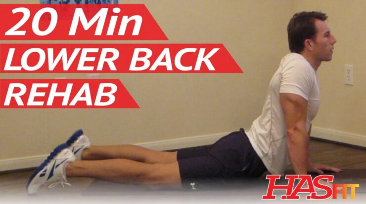 Lower back exercises at home